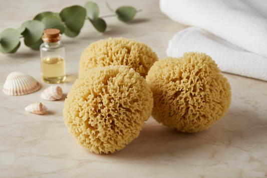 Premium Wool Natural Sea Sponge